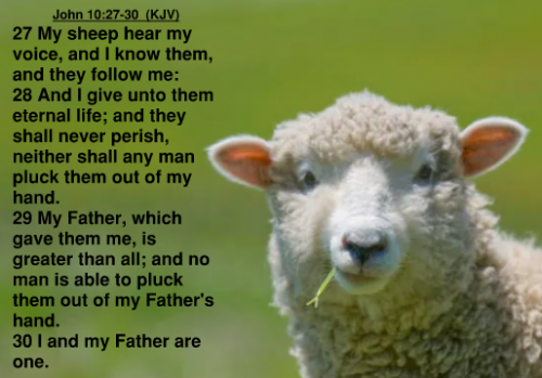 John 10.27