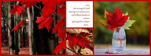 44365115_1979806075416846_2006201605036179456_n