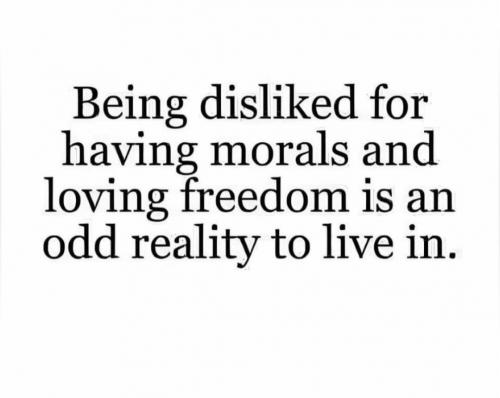 Screenshot_20240903_202515_Brave