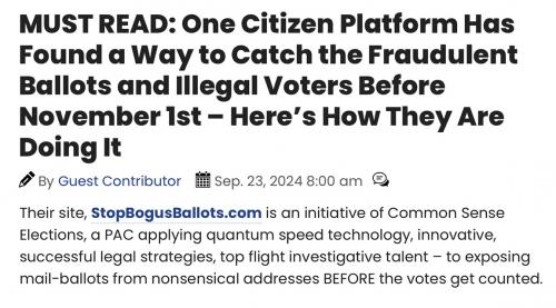 S bogus ballots