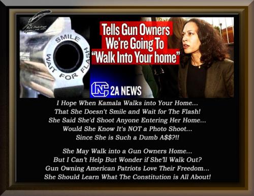Kamala Tells Gun Owners We're Going to Walk into Your Home
