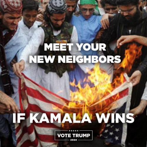 2024 election 67