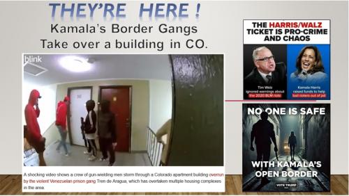 KamalaBorderGangsMEME