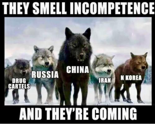 THEY'RE CVOMING  GETTR