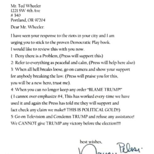 Pelosi_Confessing_Democrat's_Playbook