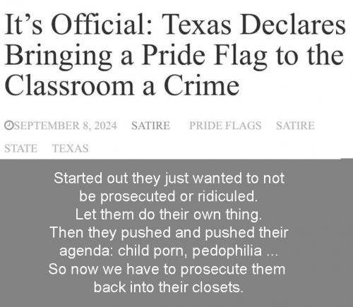 TX pride Flag crime