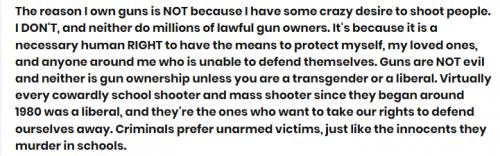 The reason I own guns narrative