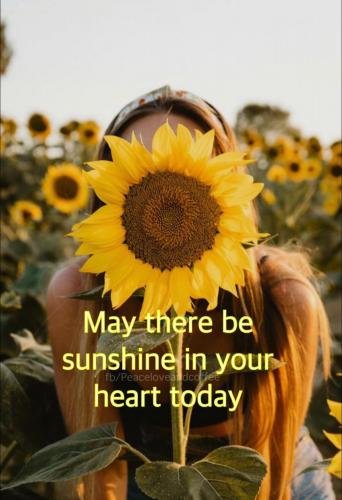 459133839_841288461469459_8502472945870626650_n