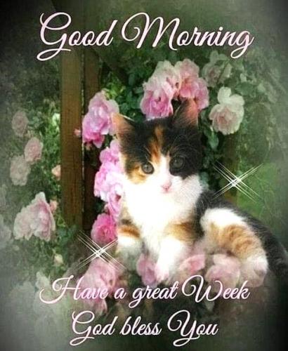 093024 - Gm Kitty