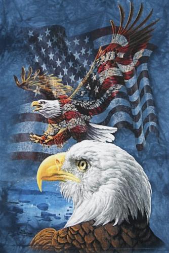 6279bf16fdd0aec2c4372853df974bfa_1024