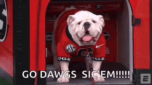 georgia-bulldogs-bulldogs