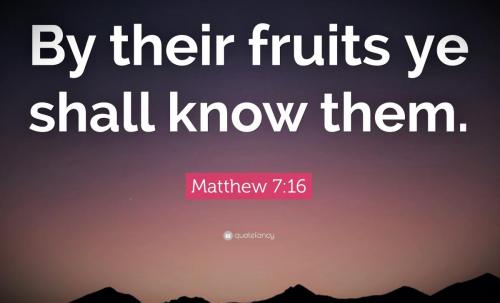 091924 - By their fruits; Matt 7-16