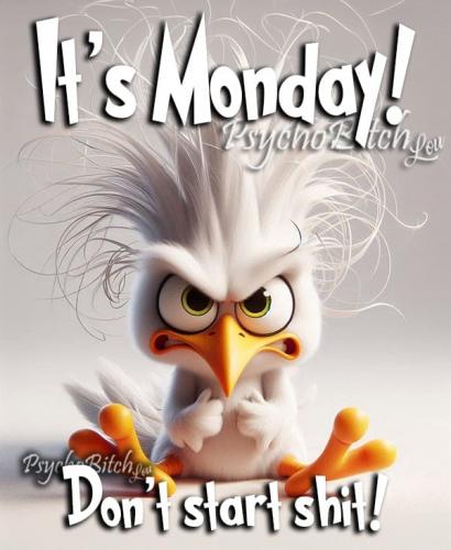 461055460_558836996568915_5650865904495215814_n