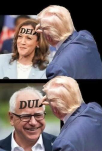 Trump, Kamala Harris, Tampon Timmy Walz -- DEI vs. DUI