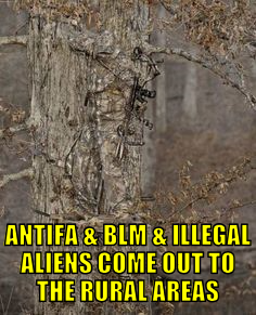 abiacouttra