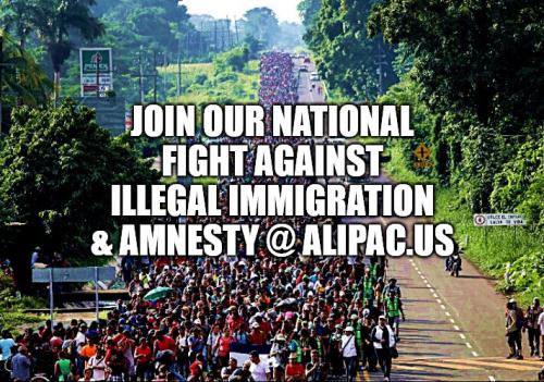 FightIllegalAmnestyALIPAC