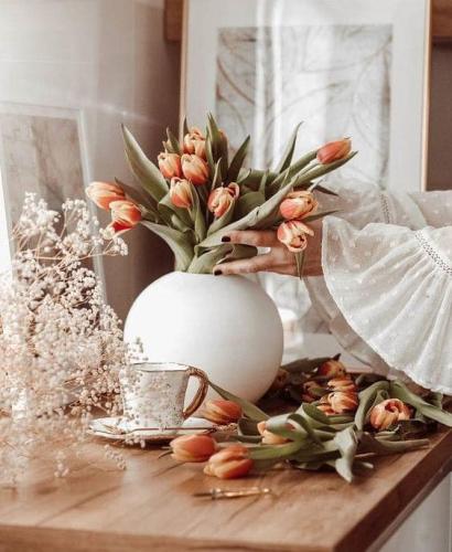 461591687_373796482471701_5186869852670524597_n