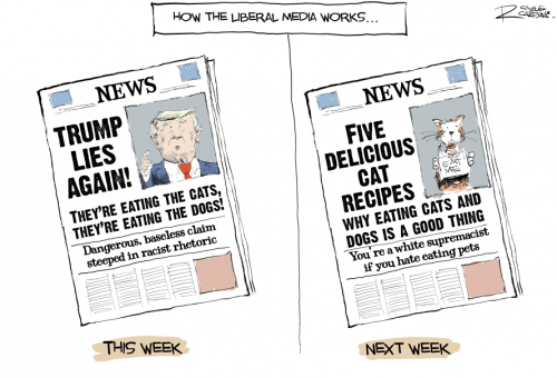 how-the-liberal-media-spins-news