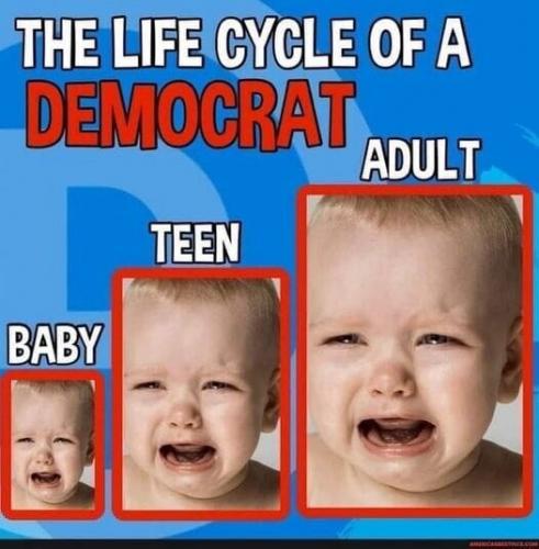 USA election 2024 - life of a democrat