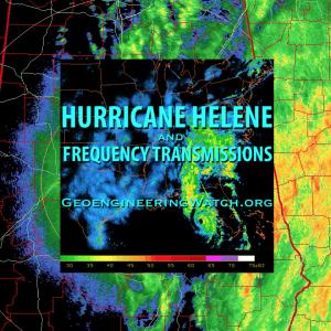 Helene Hurricane (Sept 2024) - MailChimp (Frequency Transmissions)