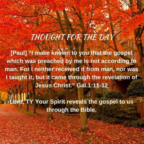 TWEET 10-10-24