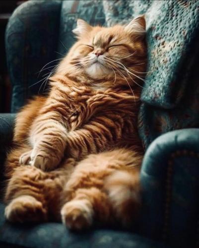 463459414_975322691301875_3136490070053147866_n