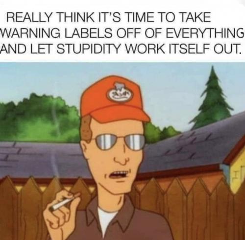 let stupidty work