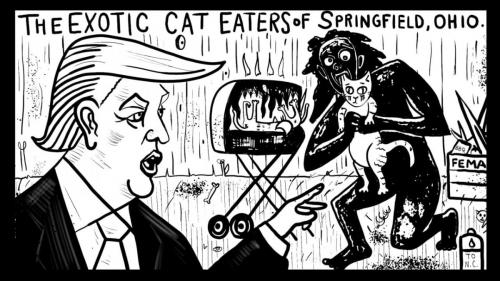 IMG_20241024_083753_654