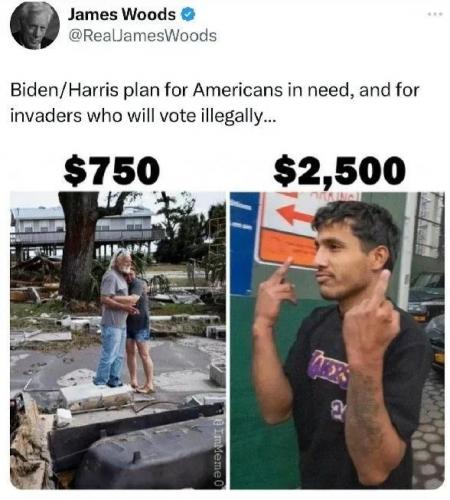 1000033464
