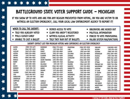 VOTER FRAUD REPORT MICHIGAN
