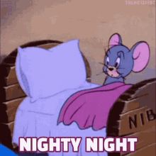night-night-tom-and-jerry
