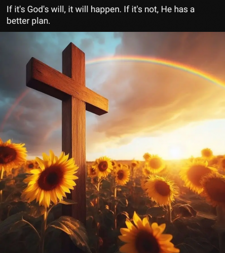 1000016560