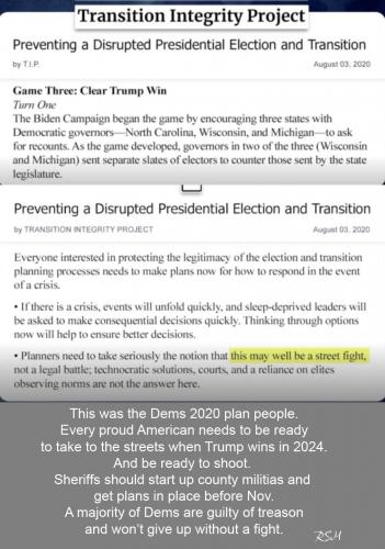 Dem 2020 coup