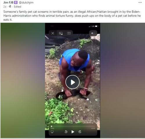 Haitian_Pushups_Cat