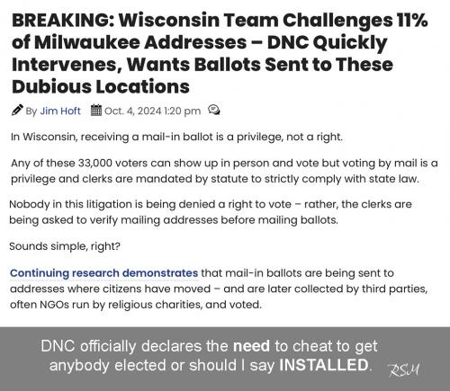 DNC official cheat