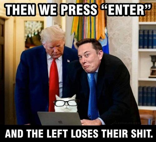 Elon Musk, Trump, Twitter -- Send