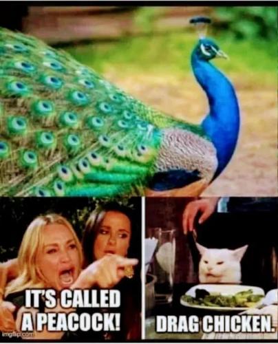 1000028490