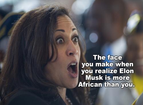 the face you make when you realize elon musk is more african than you.960px