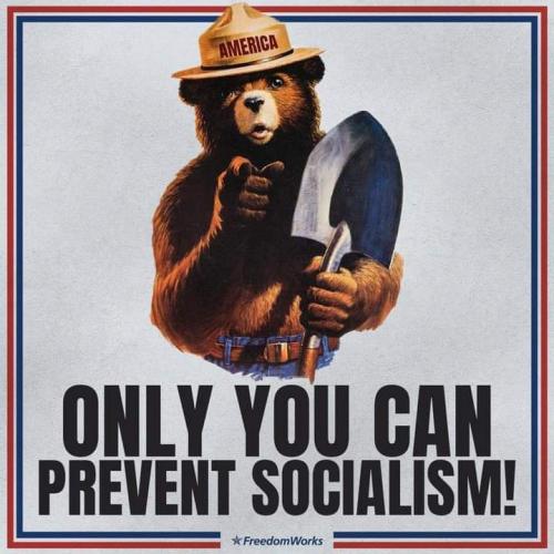 FB_IMG_1728749543800