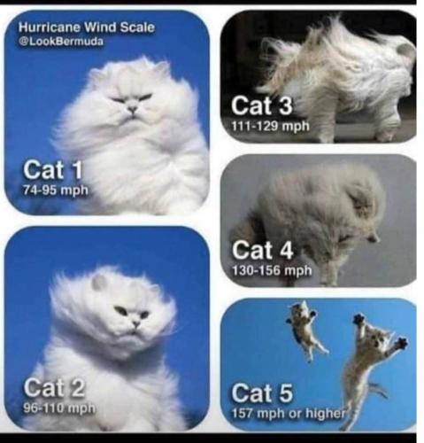 Cat, Category Hurricane -- Wind Scale