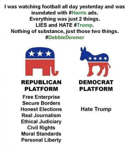 dem ads lies & hate