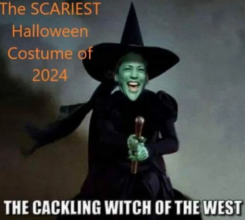 1000016508