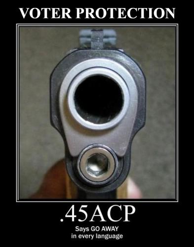 45 ACP Voter Protection