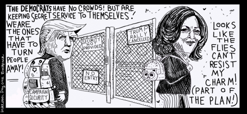 donald trump kamala harris