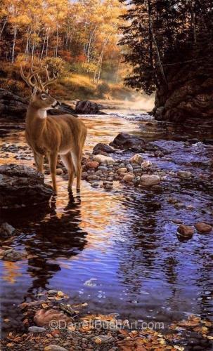 464425351_963745442460359_8297384446849768449_n