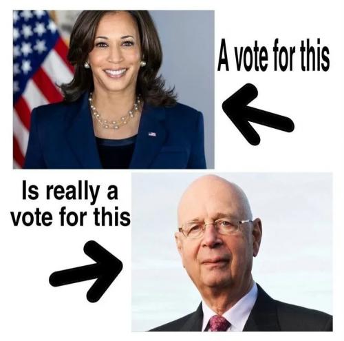 1000032675