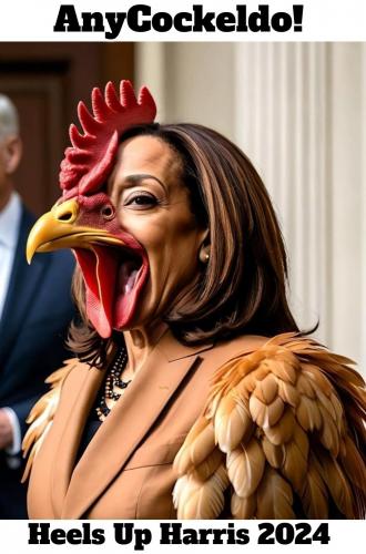 Heels Up Harris 2024