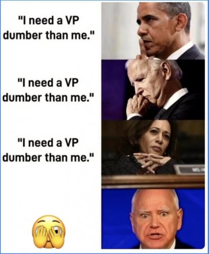 dumber VP