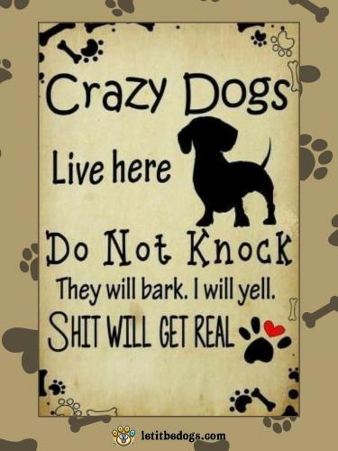 463903885_122123805506398715_5303618263750595221_n