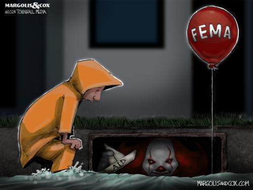 MC-FEMAwise_100824-800x0